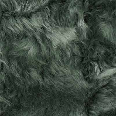 Auskin