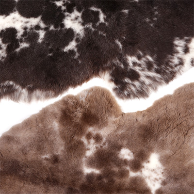 Auskin