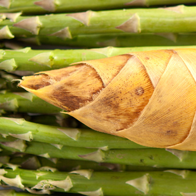 这里是标题