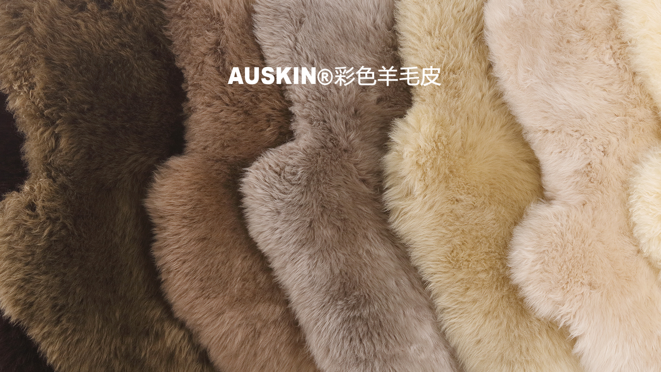 Auskin